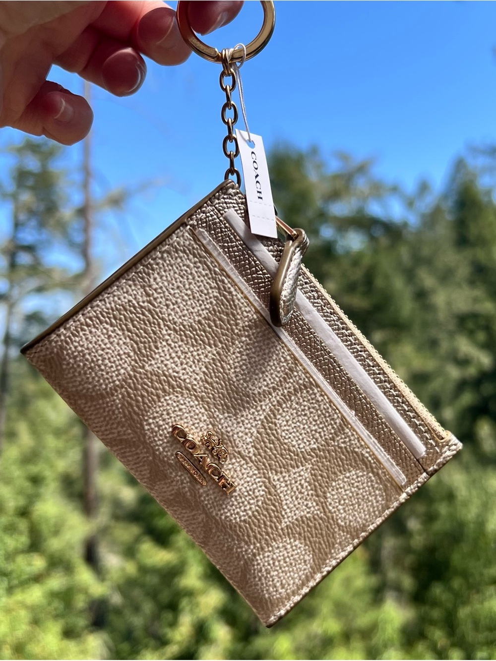 COACH Mini Skinny ID Case Cardholder Wallet & Keychain NWT CW966